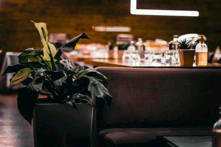Restoran İç Mimarisi: İç Mekanlarda Bitkilerin Rolü.